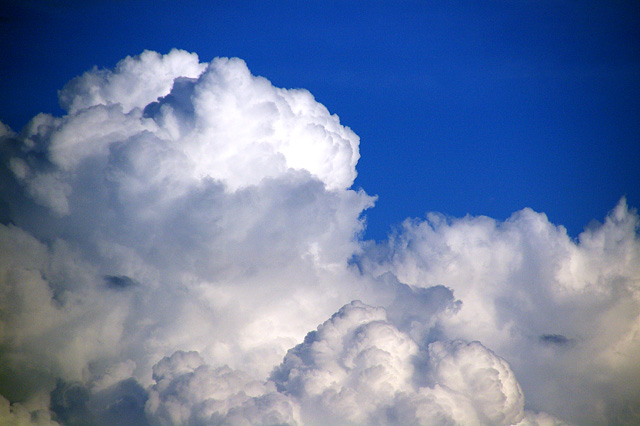 夏の空