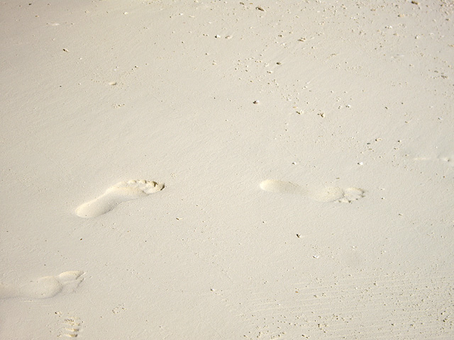 砂浜の足跡の写真素材 フリー