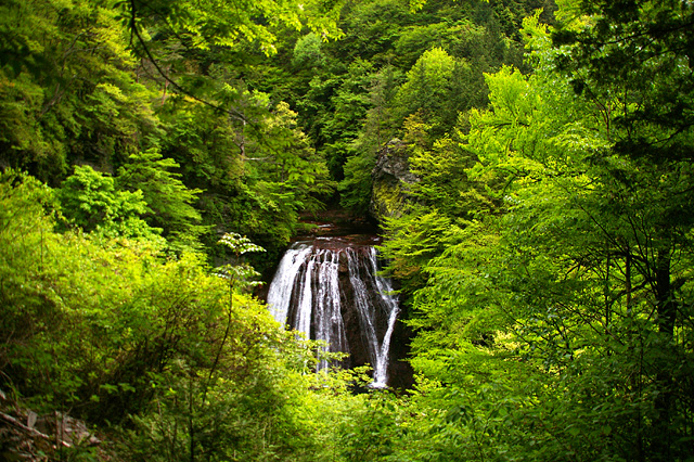 森の中の滝の写真素材 フリー