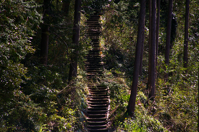 山を登る階段の写真素材 フリー