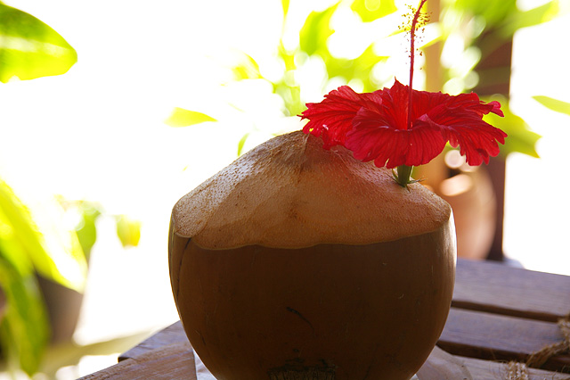 ココナッツジュースの写真素材 フリー