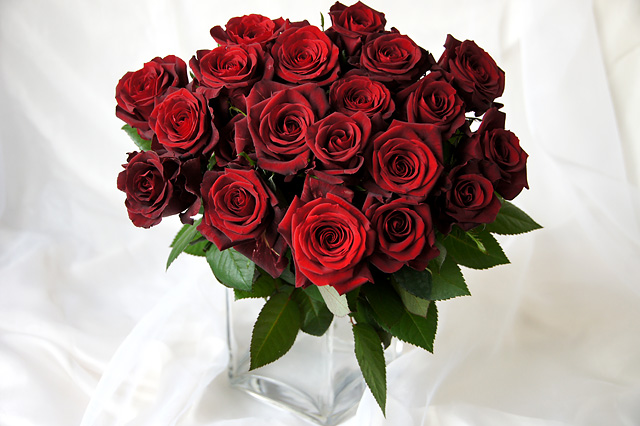 赤色のバラの花束の無料写真素材