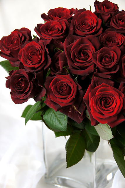 赤色のバラの花束の写真素材 フリー