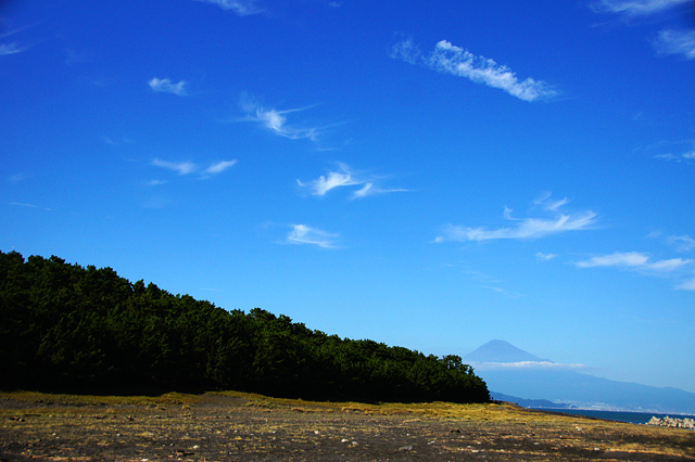 青空と三保の松原の無料写真素材