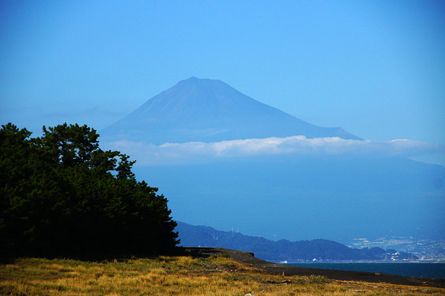 三保の松原から見た富士山の写真素材 フリー