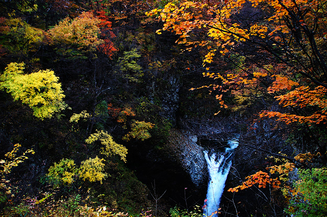 紅葉と滝の写真素材 フリー