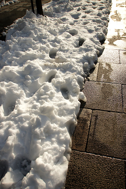 雪の真ん中の通り道の写真素材 フリー