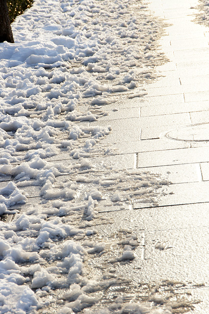 雪の真ん中の通り道のフリー写真素材