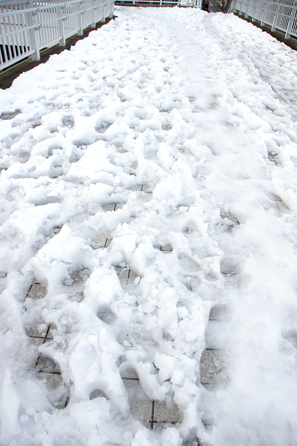 雪の上の足跡の無料写真素材