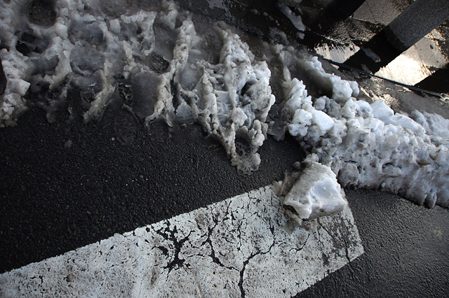 雪と横断歩道の無料写真素材