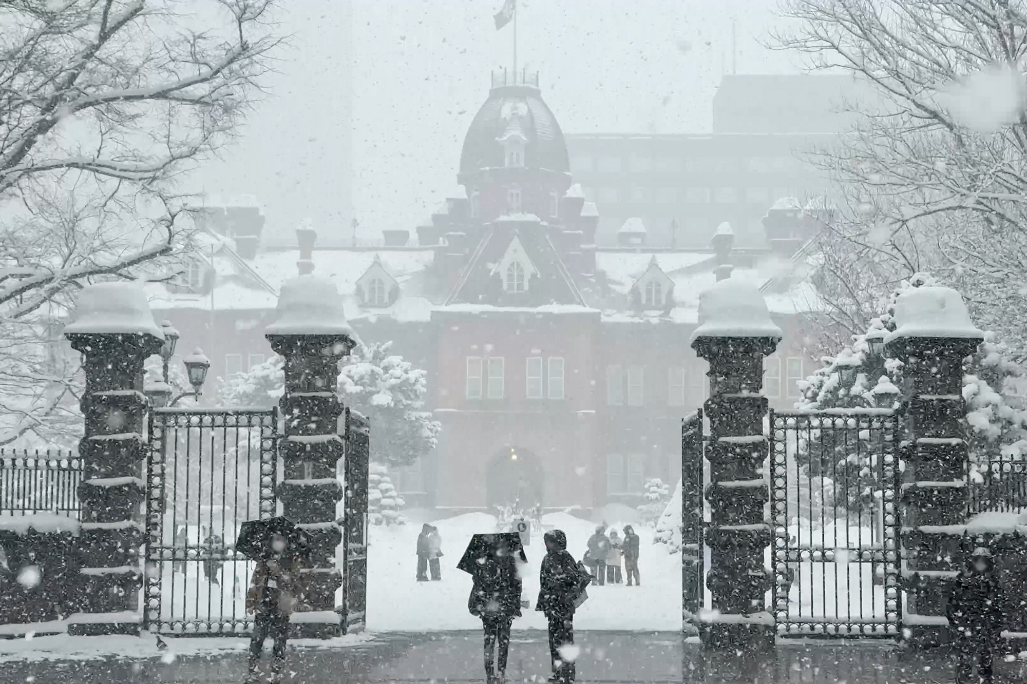 大雪の日の札幌赤れんが庁舎のフリー写真素材