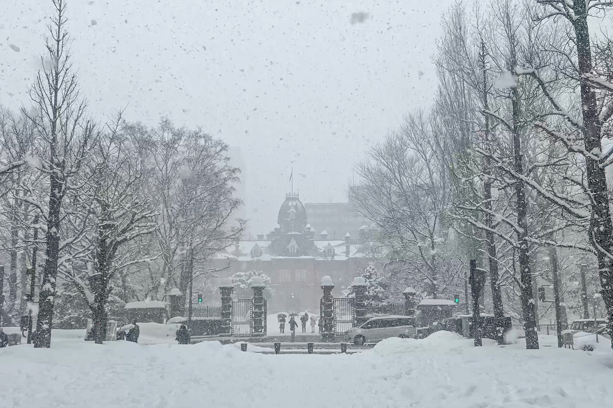 アカプラから撮影した札幌の赤れんが庁舎のフリー写真素材