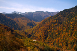 鮮やかに紅葉した山々のフリー写真素材