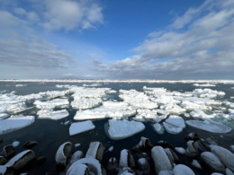 海岸まで迫っている流氷のフリー写真素材