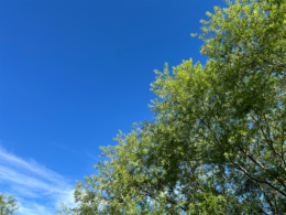 青空とグリーンのフリー写真素材