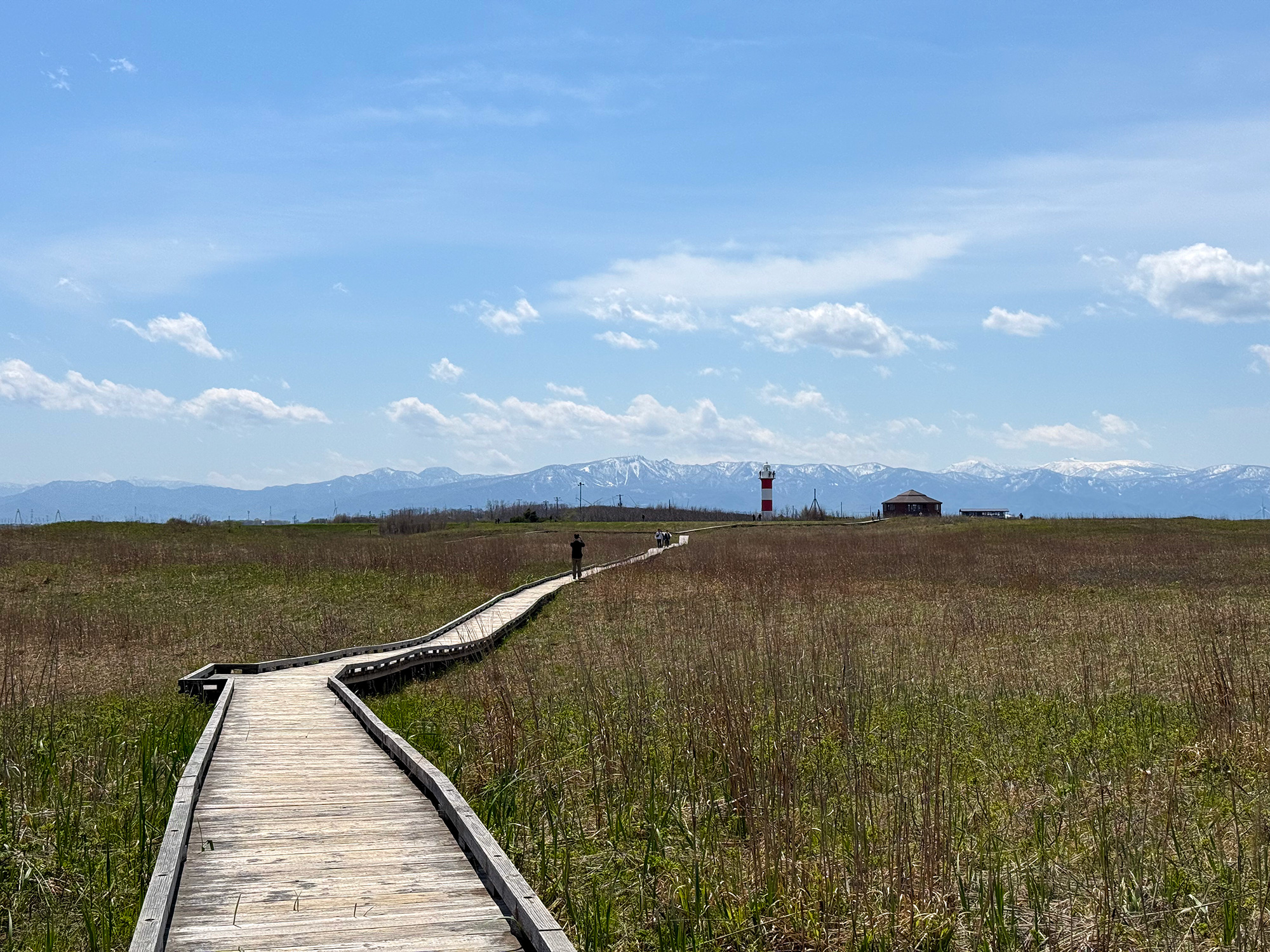 北海道石狩市のはまなすの丘のフリー写真素材
