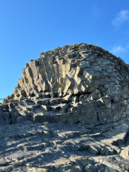 花咲岬の車石の無料写真素材