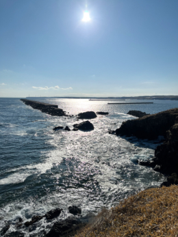 花咲岬から望む海の無料写真素材
