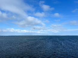 冬のオホーツク海の水平線の無料写真素材
