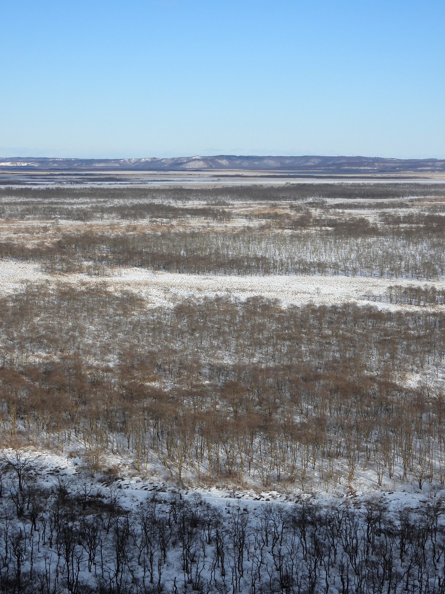 釧路の壮大な湿原のフリー写真素材