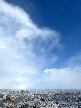 円山山頂の眺望の無料写真素材