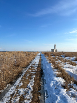 冬の野付埼灯台のフリー写真素材