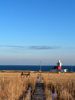 落石岬灯台と海のフリー写真素材