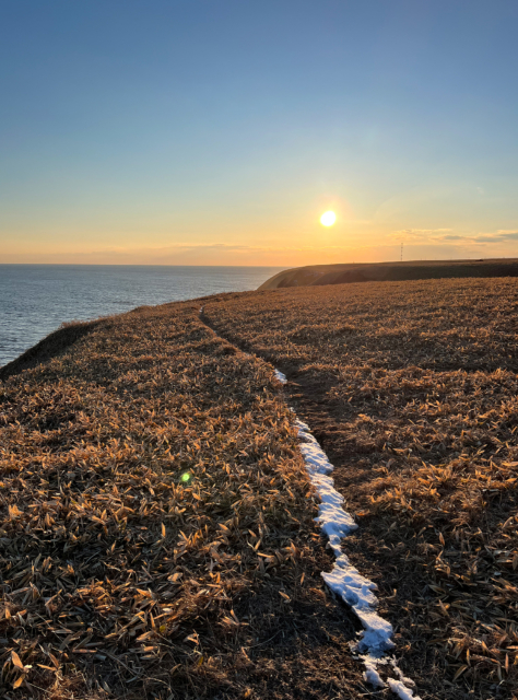 落石岬と夕日のフリー写真素材