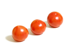 トマトが３つの無料画像素材