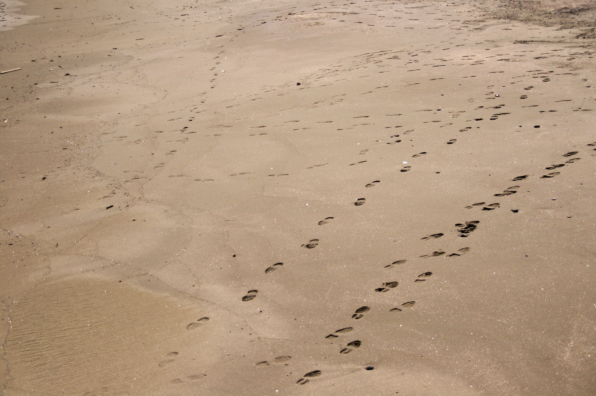 砂浜の足跡の無料画像素材