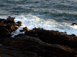 波の荒い岩場の写真の無料素材