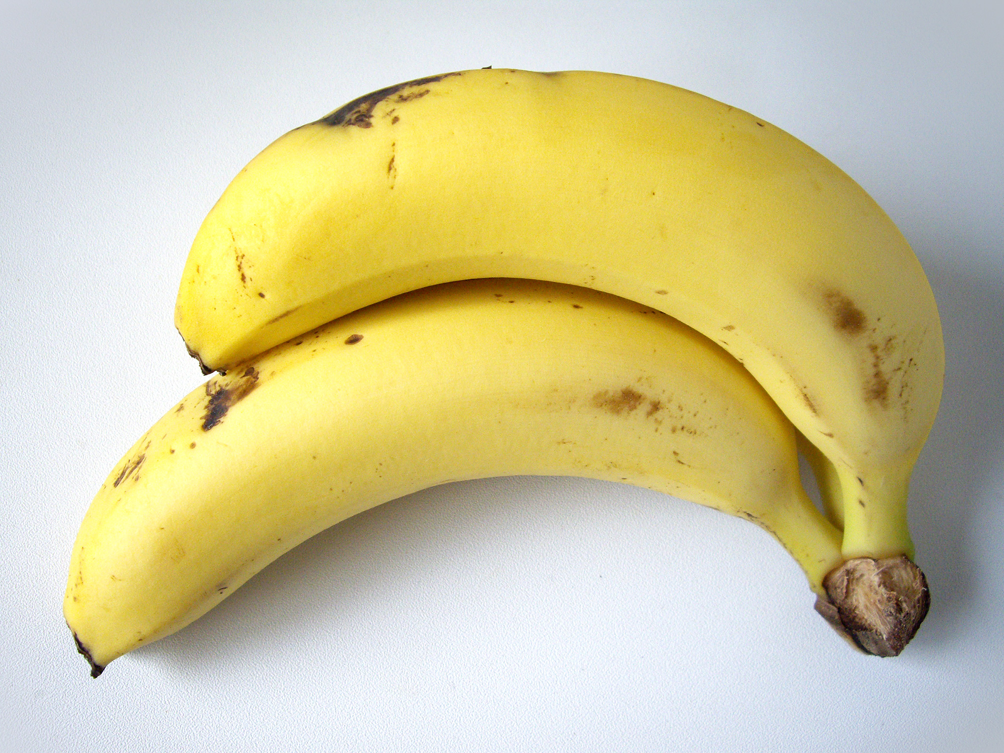 二本のバナナの写真の無料素材