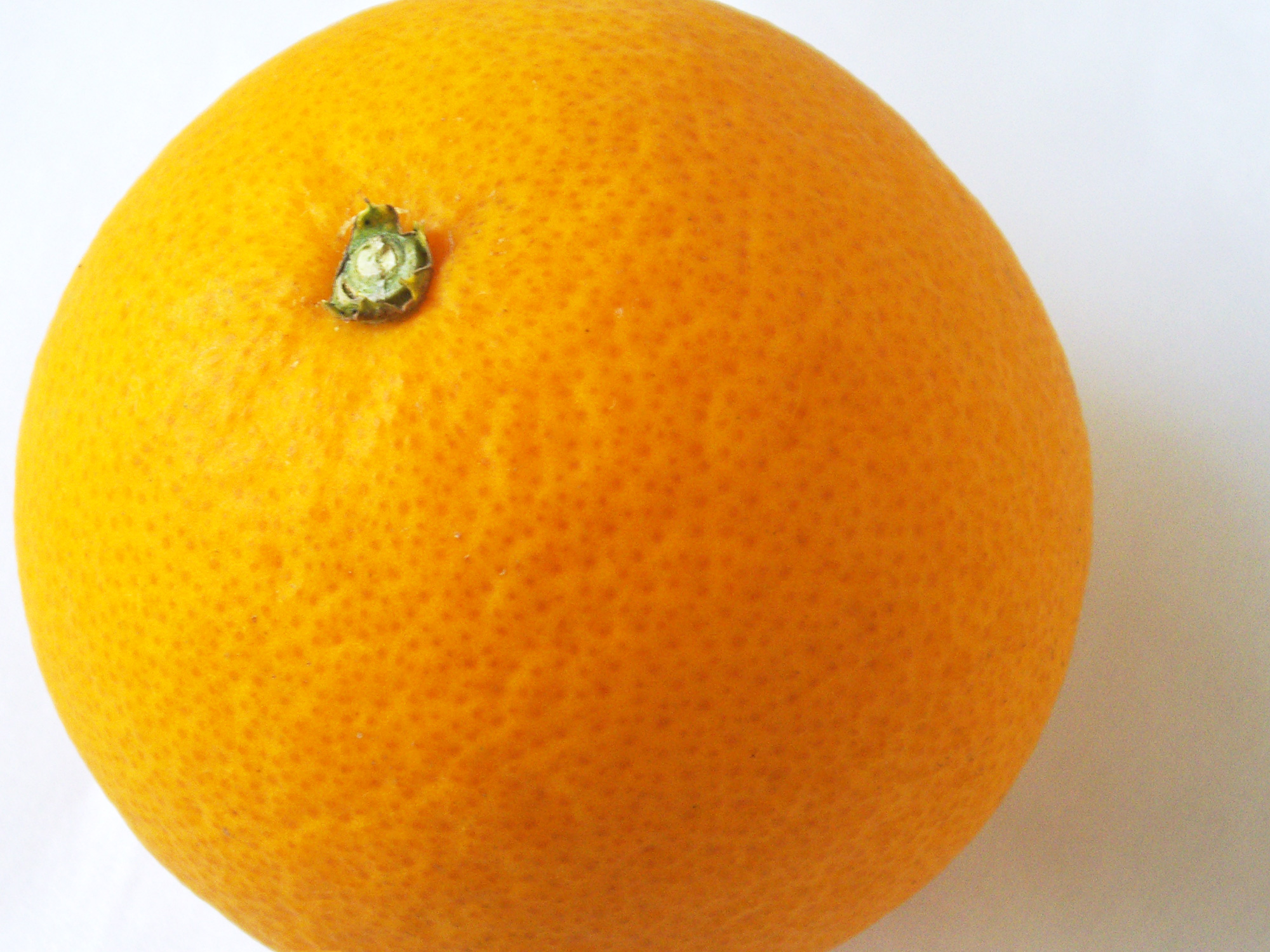 丸いオレンジのフリー写真素材