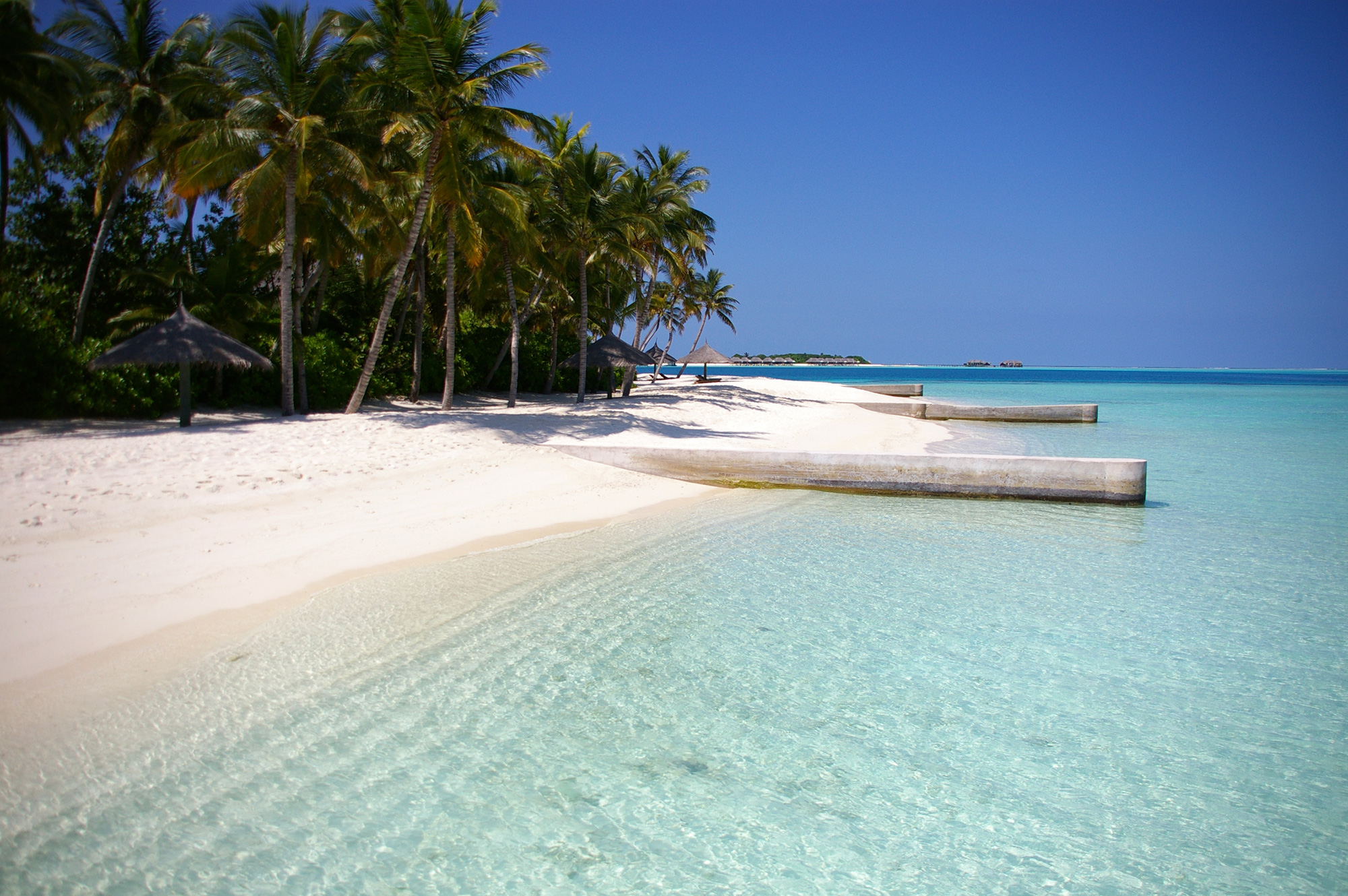 リゾートビーチと椰子の写真のフリー素材