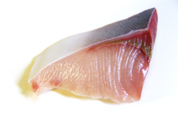 魚の鰤の写真素材フリー