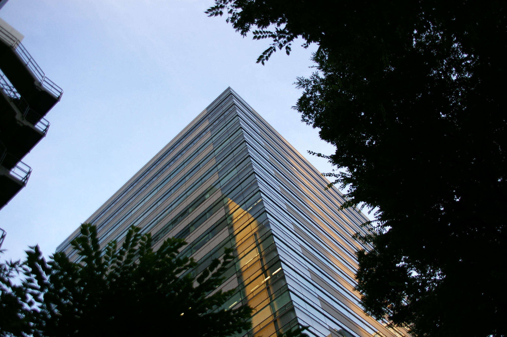 新宿の大きなビルのフリー写真素材