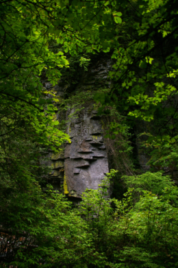 鷲岩（横谷峡）の写真のフリー素材