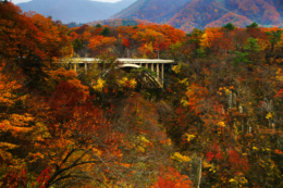 鳴子峡の大深沢橋の紅葉の写真のフリー素材