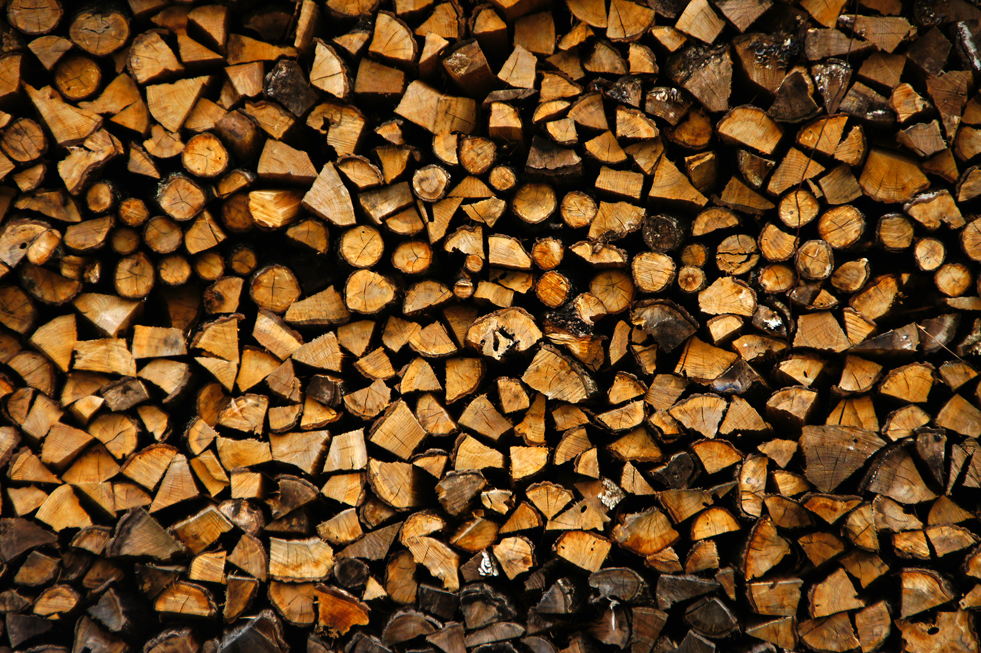 薪の断面の写真のフリー素材