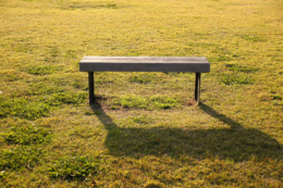 草原のベンチの写真の無料素材
