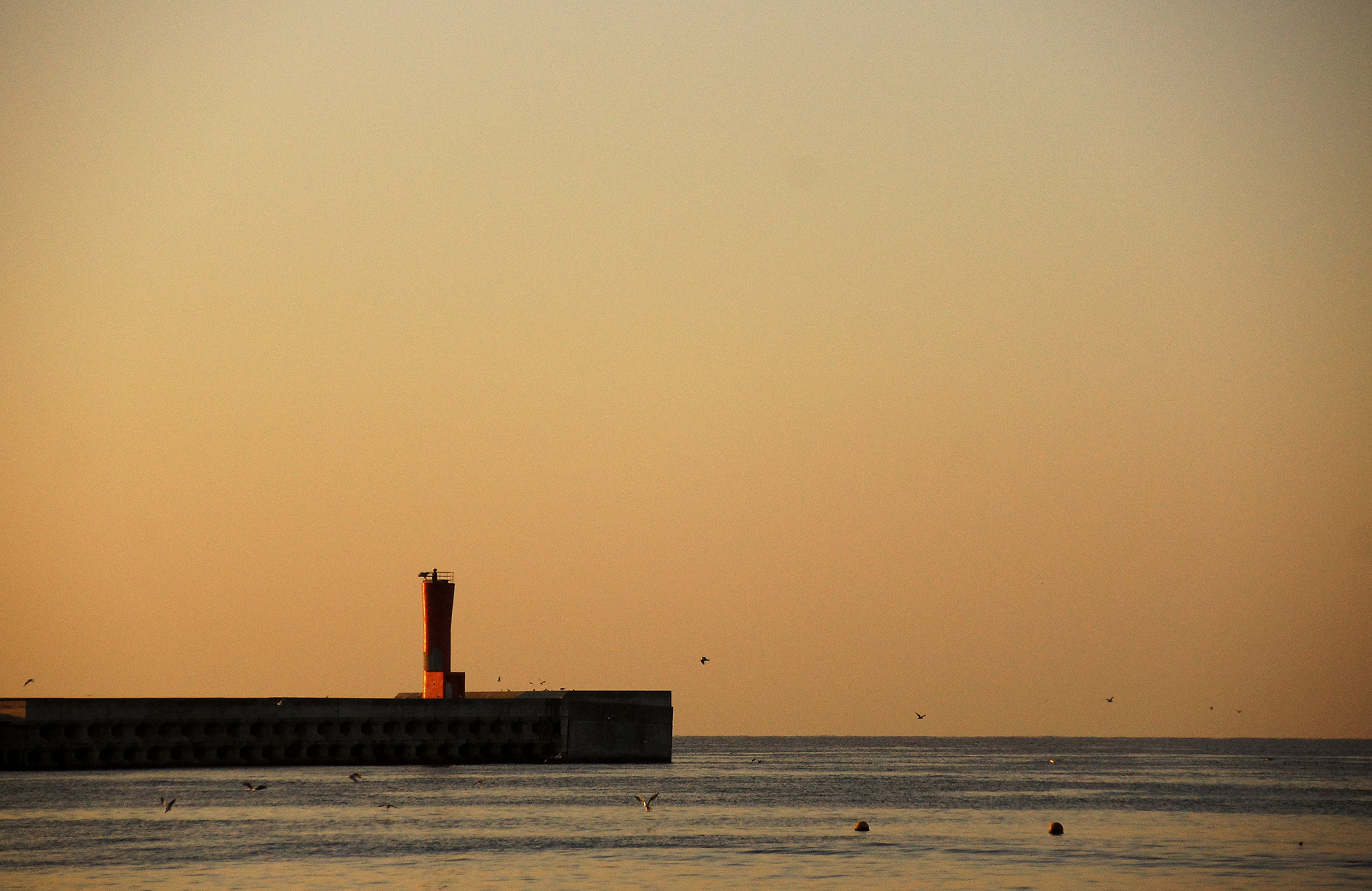城ヶ島の防波堤のフリー写真素材