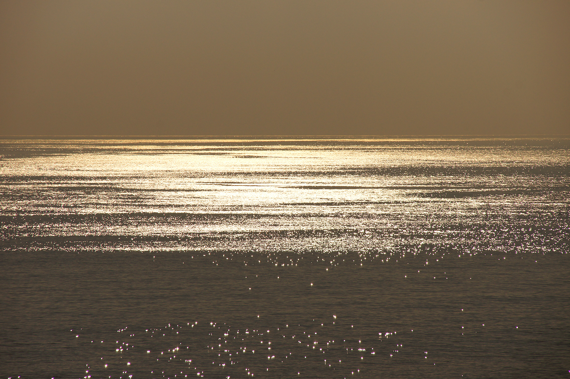 黄金の海のフリー写真素材