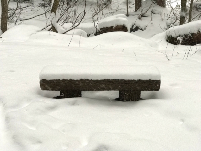 雪が積もったベンチのフリー写真素材