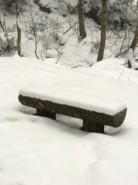 雪の中のベンチのフリー写真素材
