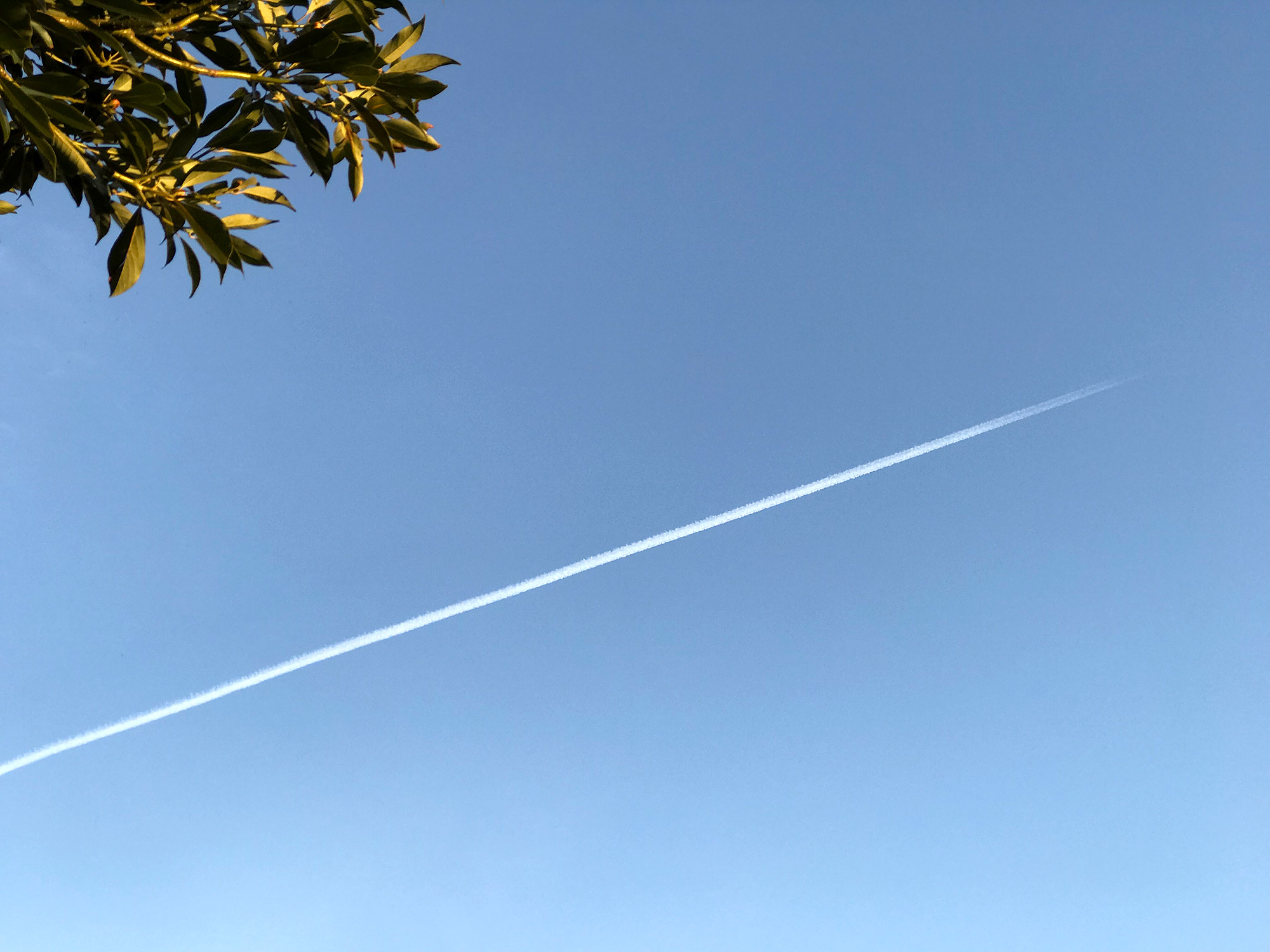 飛行機雲のフリー写真素材