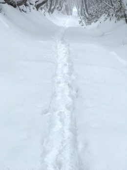 雪道の足跡のフリー写真素材
