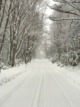 雪道の写真の無料画像素材