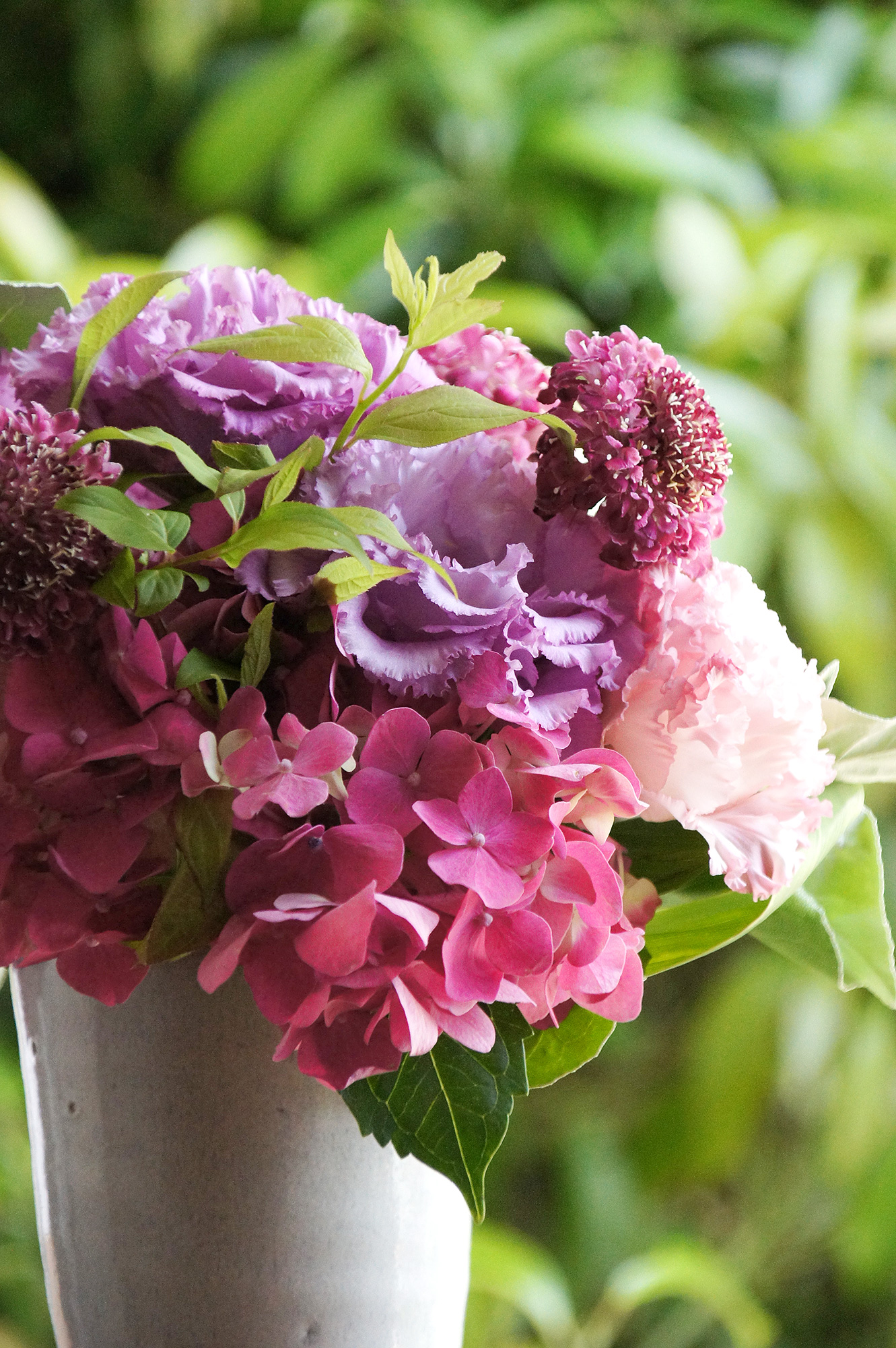 紫色のトルコキキョウの花束のフリー写真素材