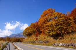 紅葉した山のドライブコースの無料写真素材