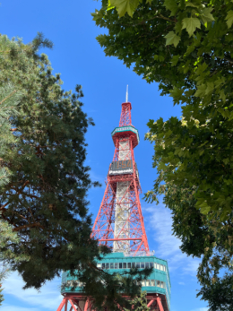 木々の間の札幌テレビ塔の写真のフリー素材